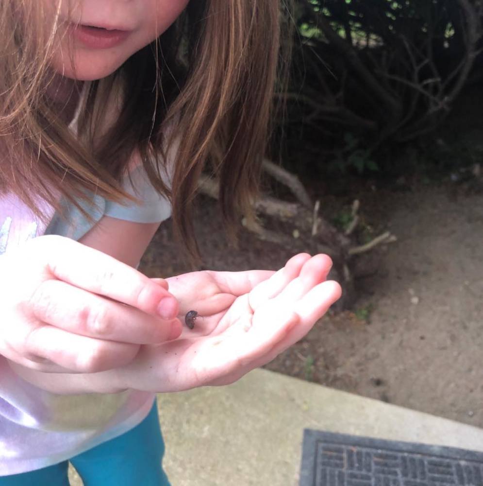 Meet your Posher, Ema